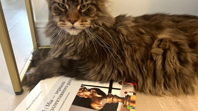 Книга «Я | Мы — зеркало коллективного разума»